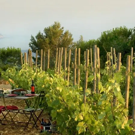 L'hotel & Du Castellet لو كاستليت
